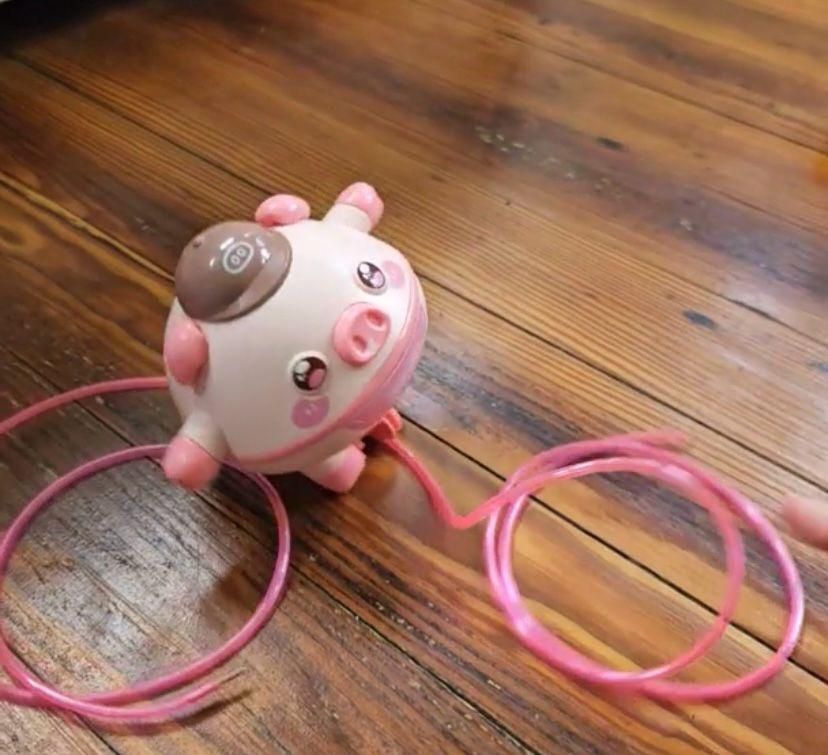 Walking  Pig toy